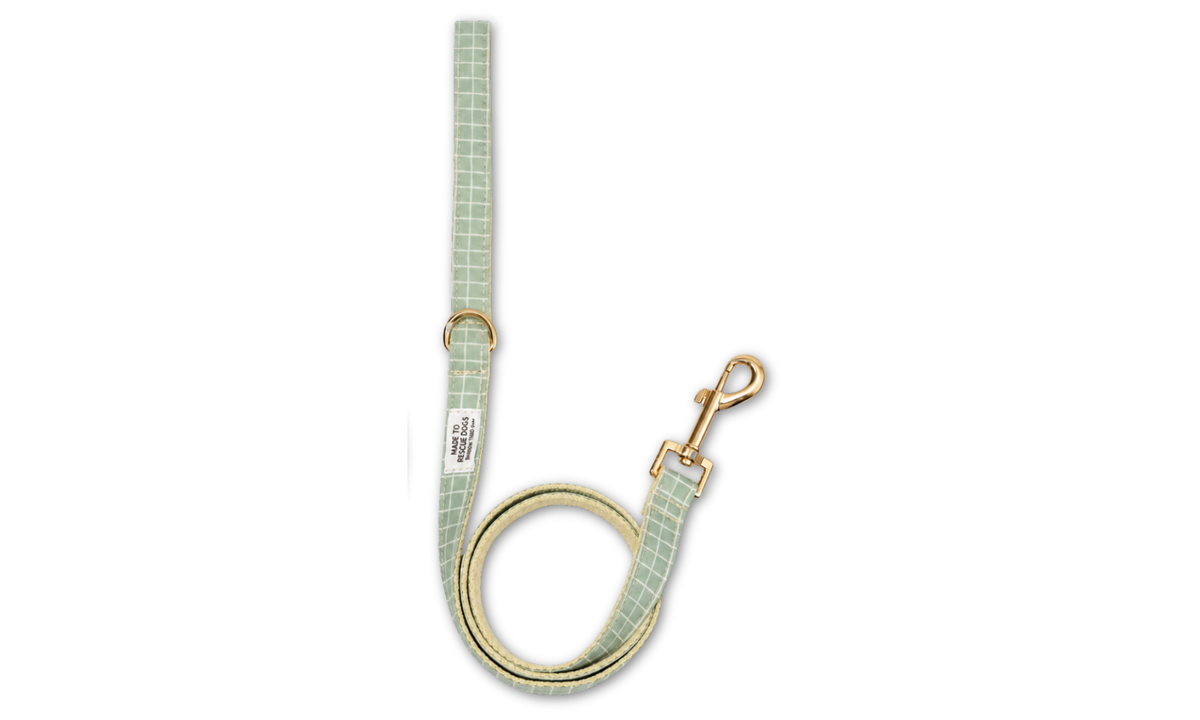 Waltz Green Leash