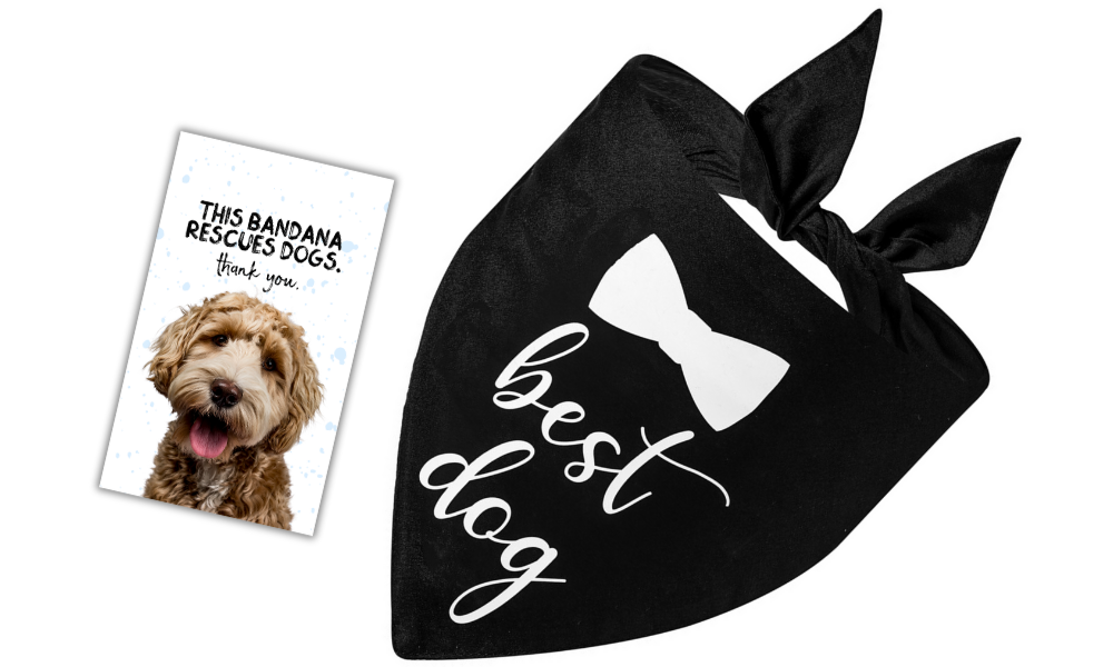 Best Dog/Bow (Black)