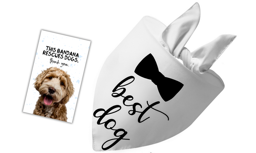 Best Dog/Bow (White)