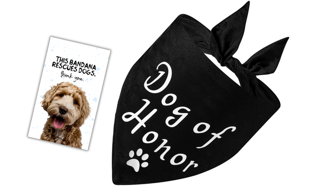 Dog of Honor (Black)