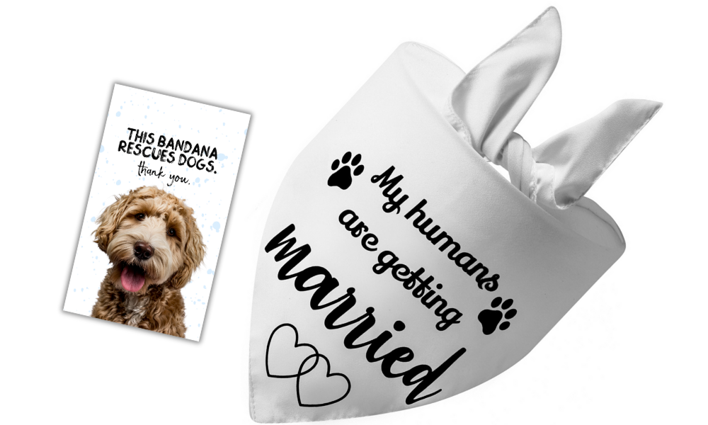 My Humans Are Getting Married (White)