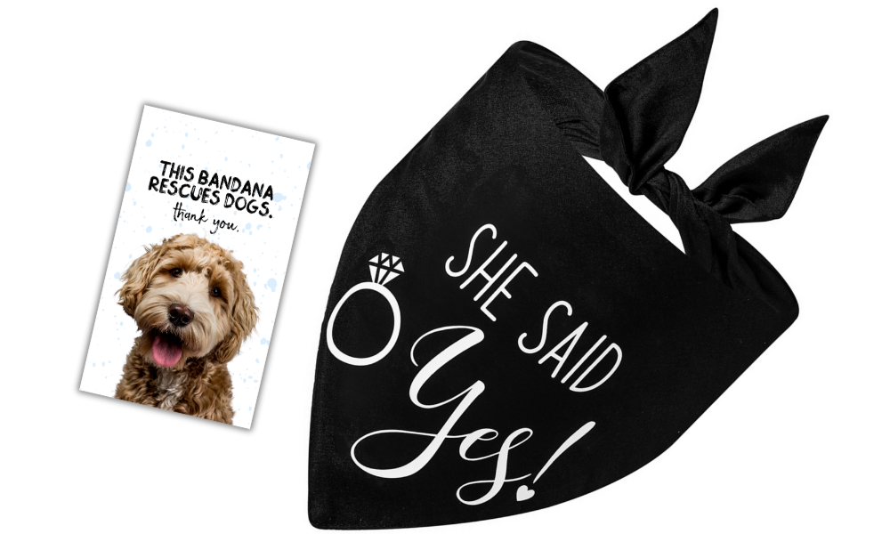 She Said Yes (Black)