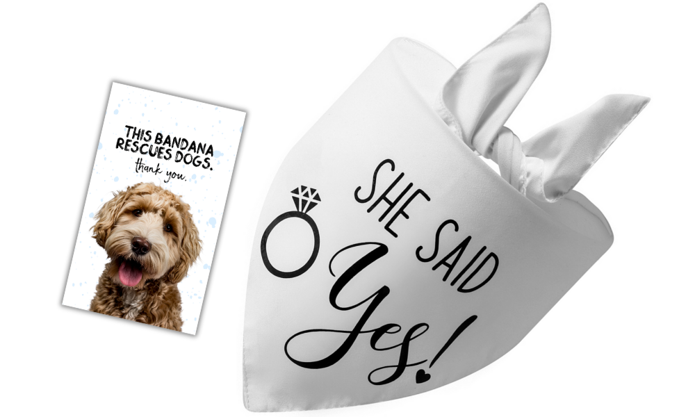 She Said Yes (White)