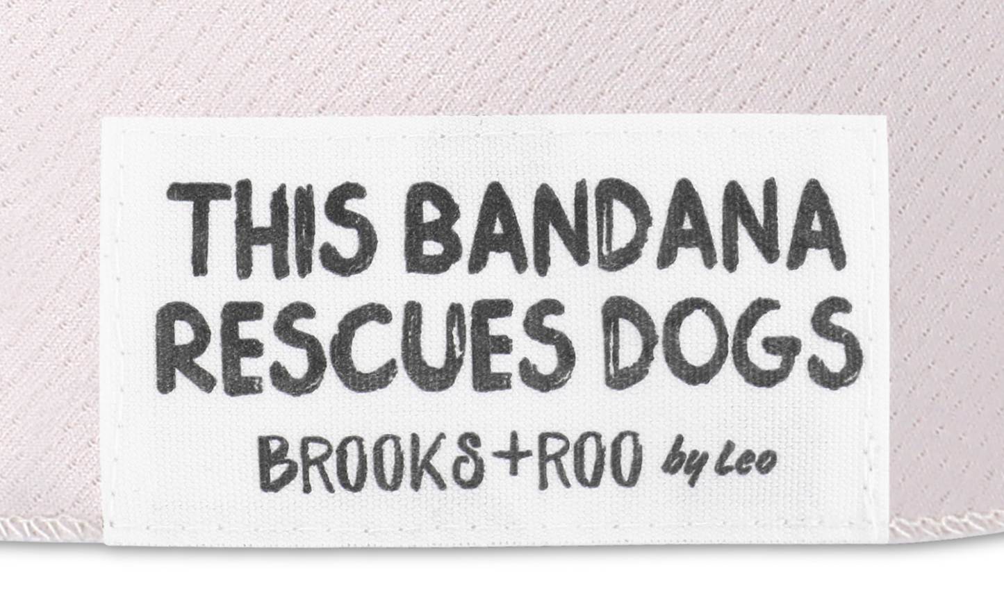 Cookies & Confessions