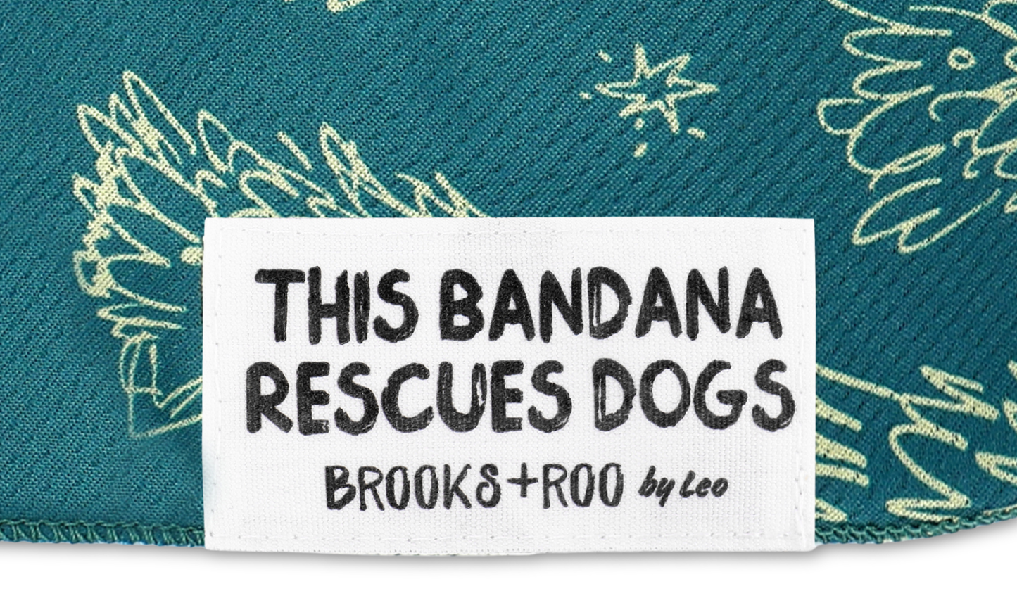 Evergreen Enchantment