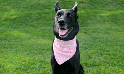 Monroe (Pink)