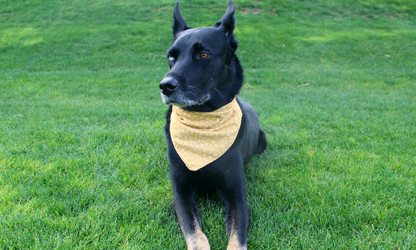 Monroe (Yellow)