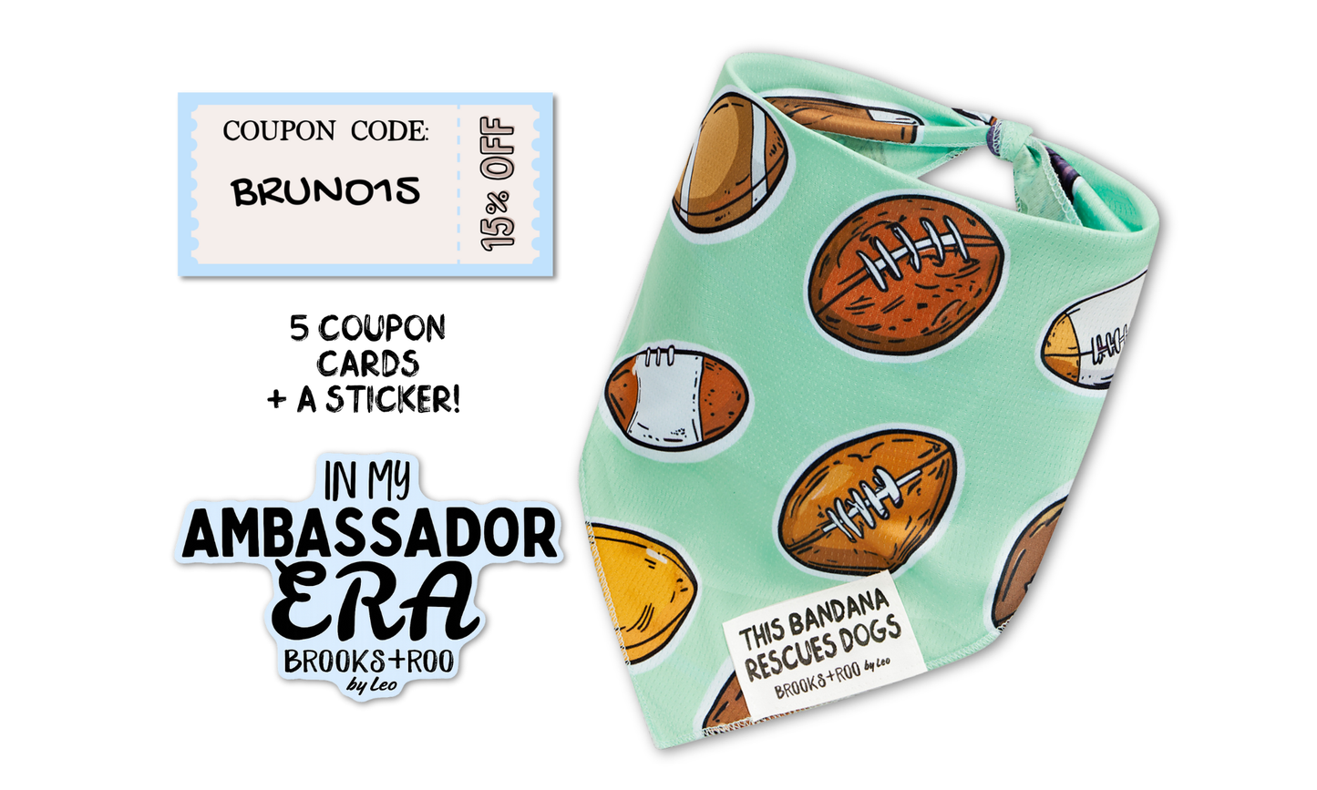 Ambassador Welcome Pack