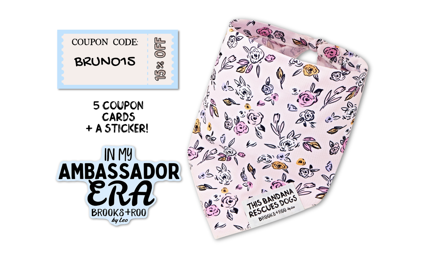 Ambassador Welcome Pack