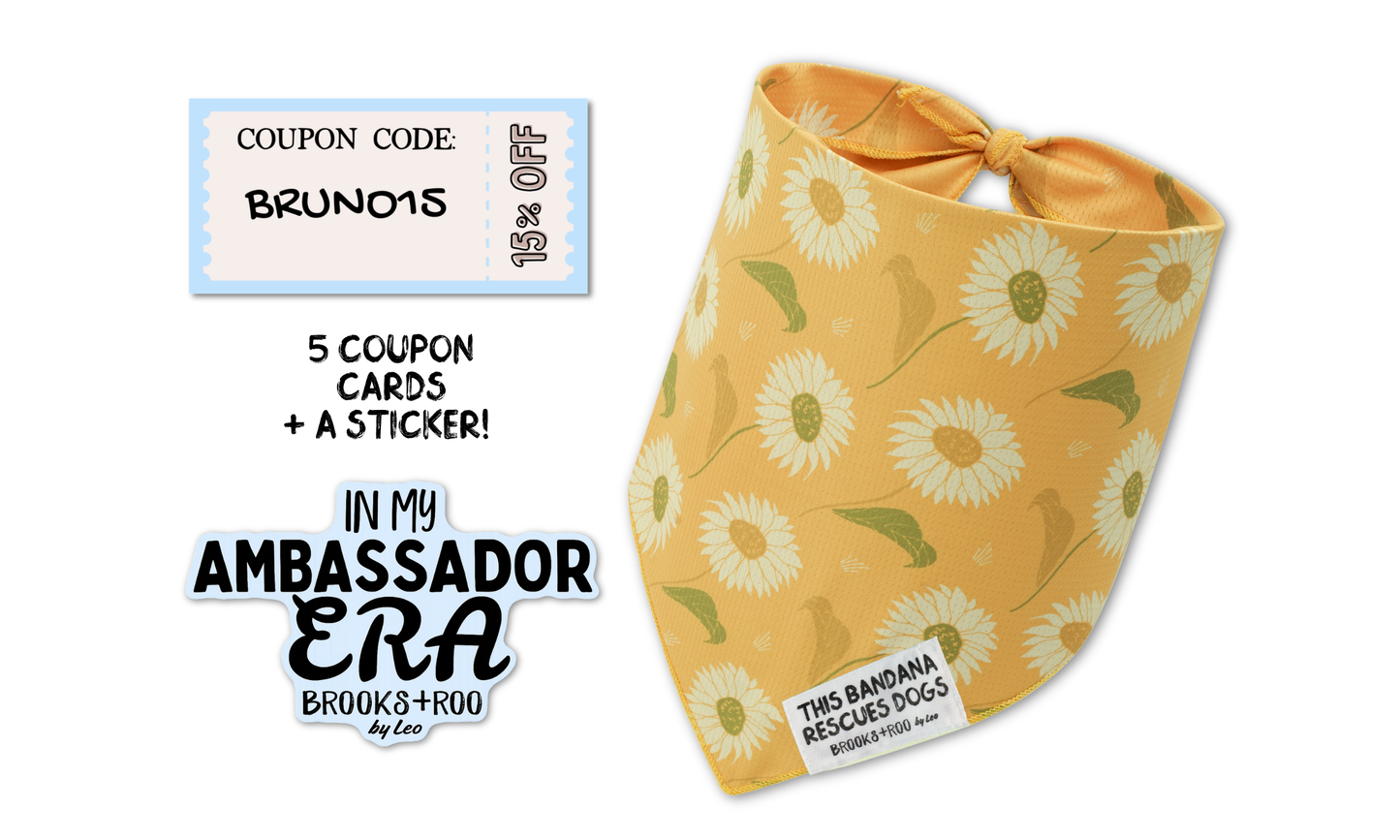 Ambassador Welcome Pack June 9th