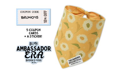 Ambassador Welcome Pack June 9th