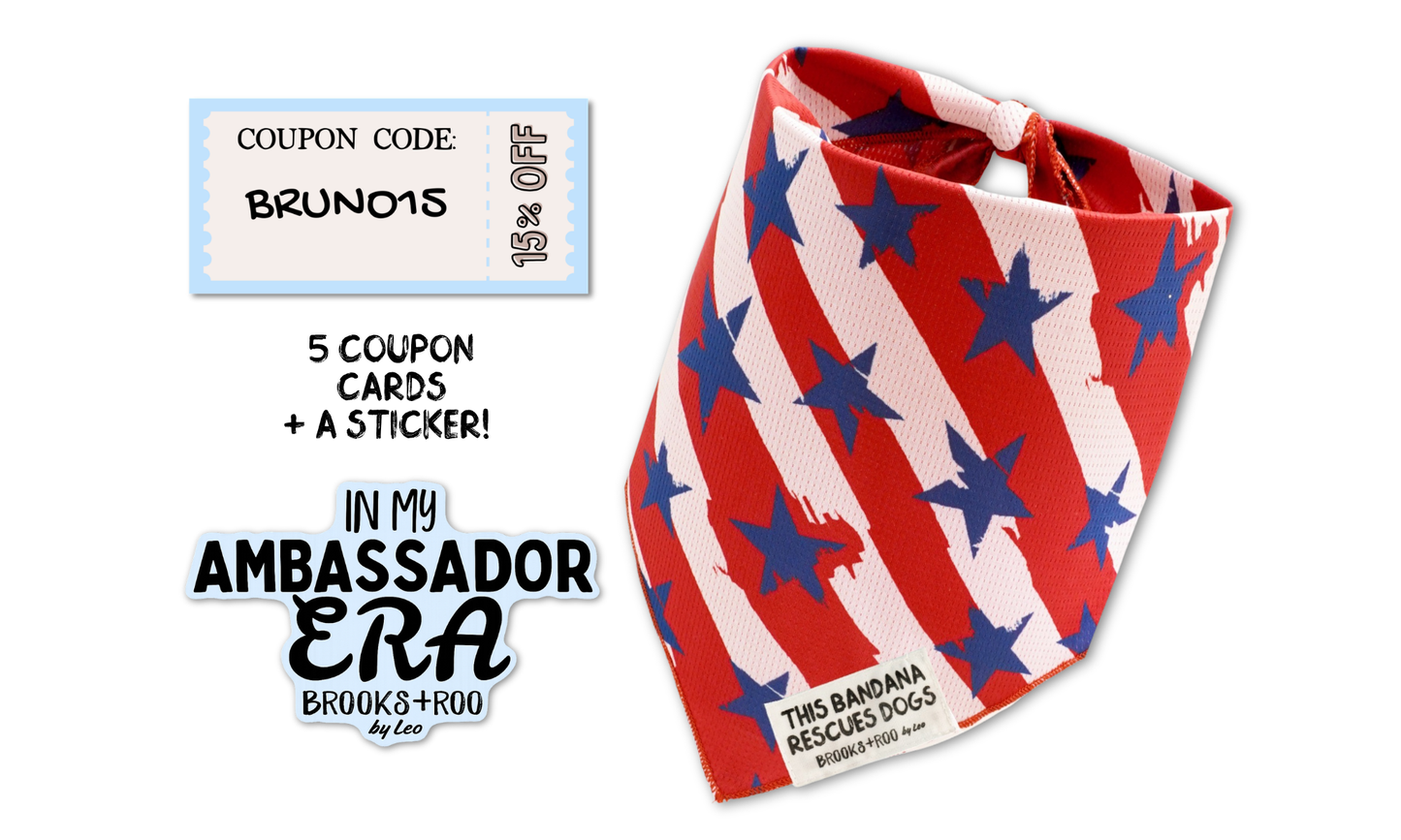 Ambassador Welcome Pack June 9th