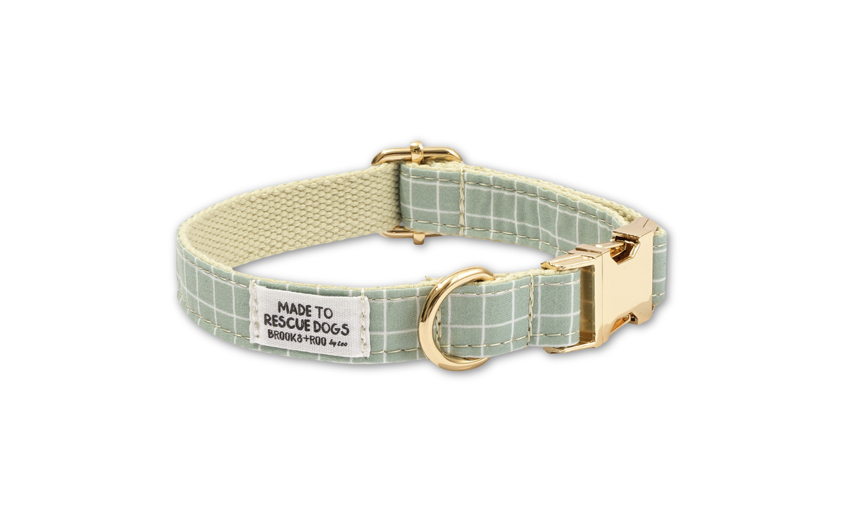 Waltz Green Collar