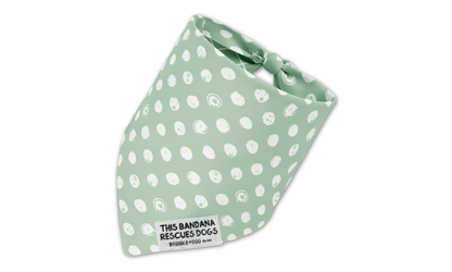 Waltz Green Leash + Collar + REVERSIBLE Bandana + Bag Holder