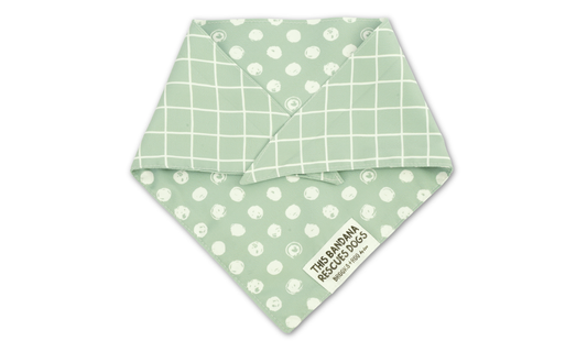 REVERSIBLE Gatsby + Waltz (Green)