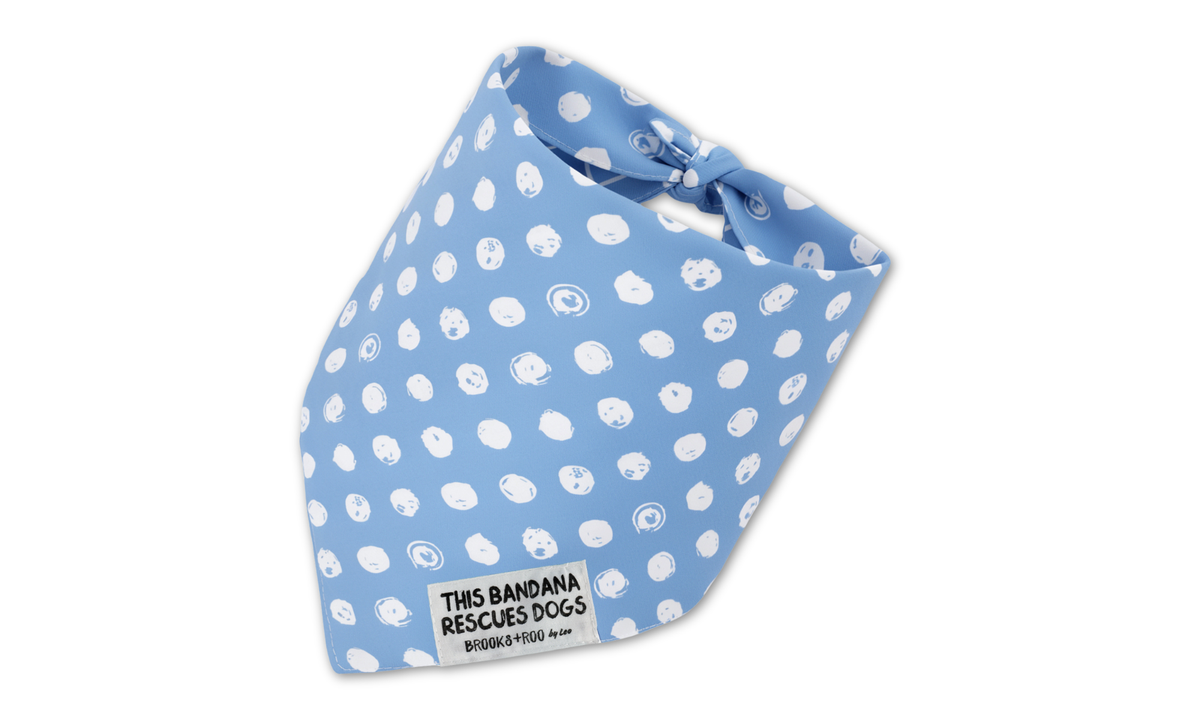 REVERSIBLE Gatsby + Waltz (Blue)