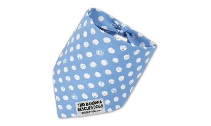 REVERSIBLE Classics Bundle
