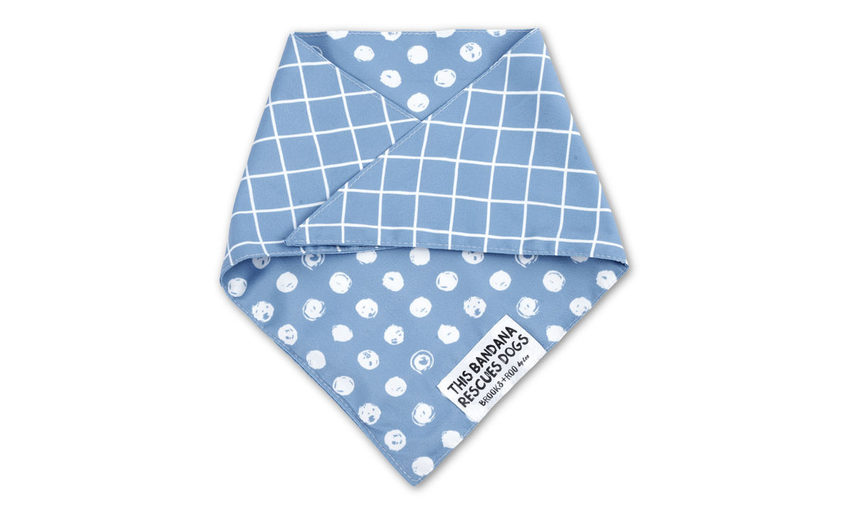 REVERSIBLE Gatsby + Waltz (Blue)