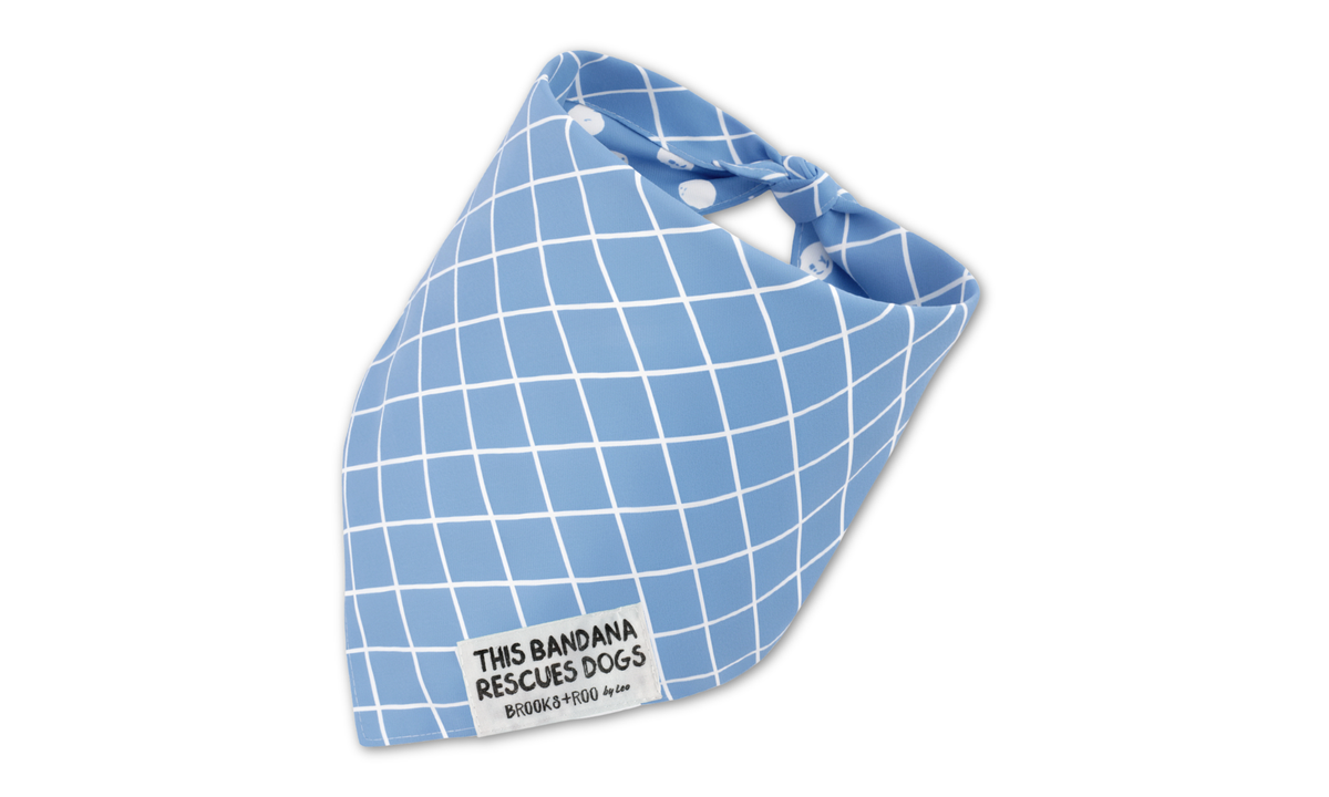 REVERSIBLE Classics Bundle