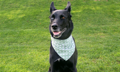 Gatsby (Green)