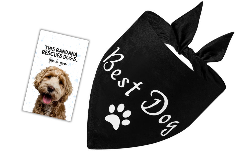 Best Dog (Black)
