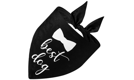 Best Dog/Bow (Black)