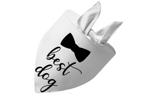 Best Dog/Bow (White)