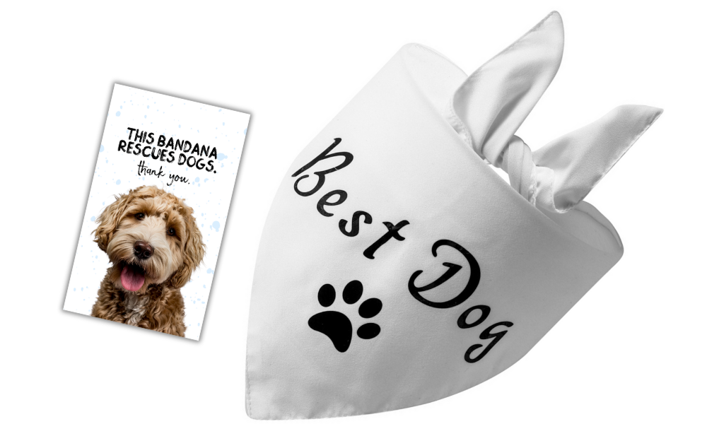 Best Dog (White)