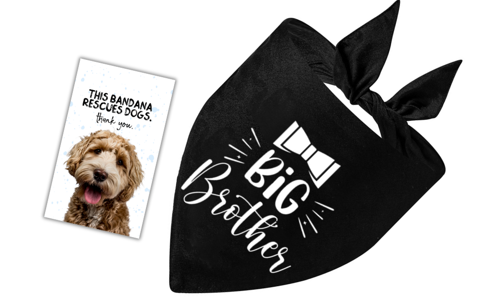 Big Brother (Black)