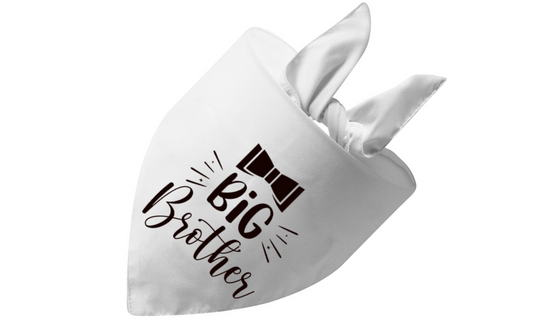 Big Brother (White)