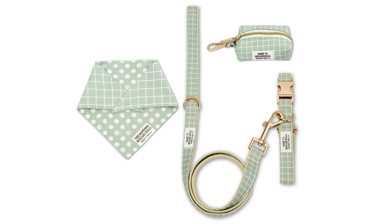 Waltz Green Leash + Collar + REVERSIBLE Bandana + Bag Holder