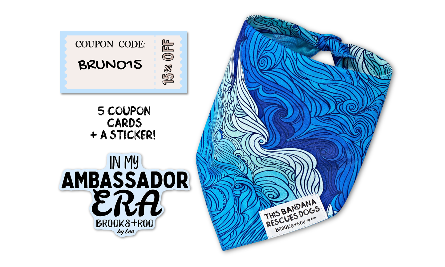 Ambassador Welcome Pack