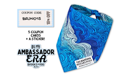 Ambassador Welcome Pack June 9th