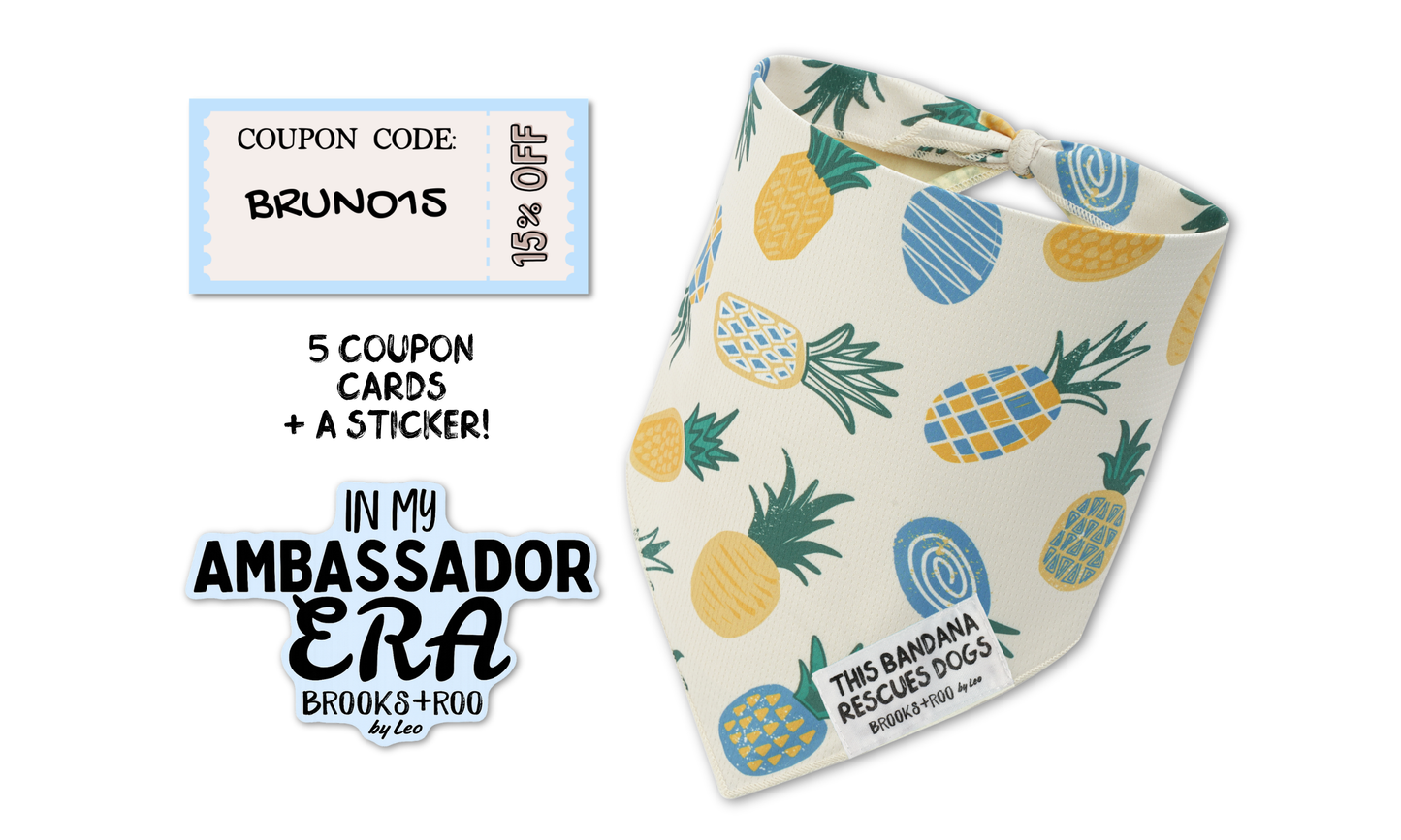 Ambassador Welcome Pack June 9th