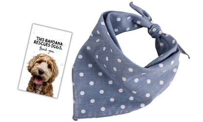 Gatsby (Blue)