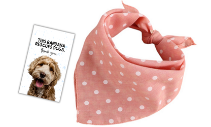 Gatsby (Pink)