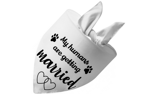 My Humans Are Getting Married (White)