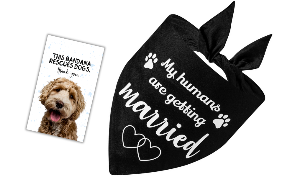 My Humans Are Getting Married (Black)
