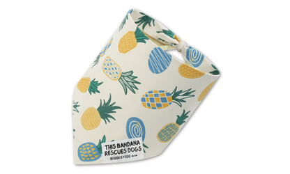 Pineapple Parade