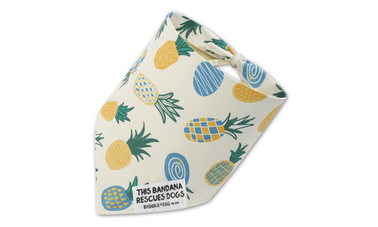 Pineapple Parade