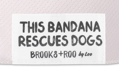 Cookies & Confessions