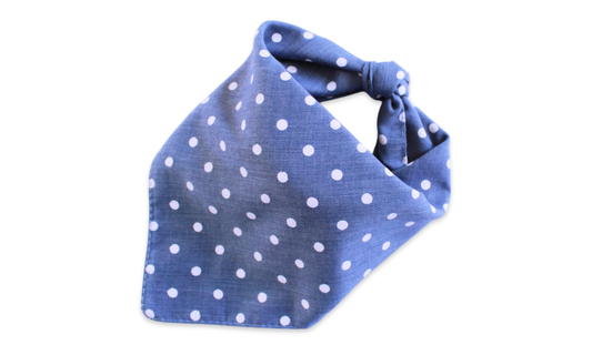 Gatsby (Blue)