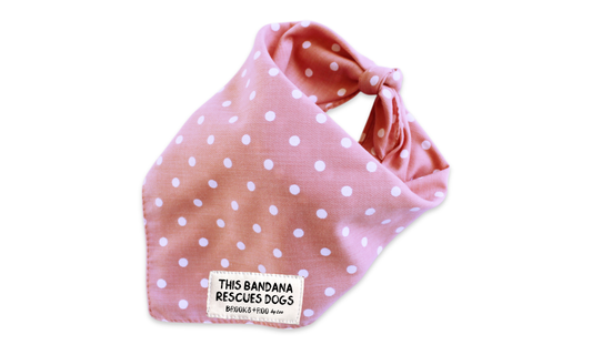Gatsby (Pink)