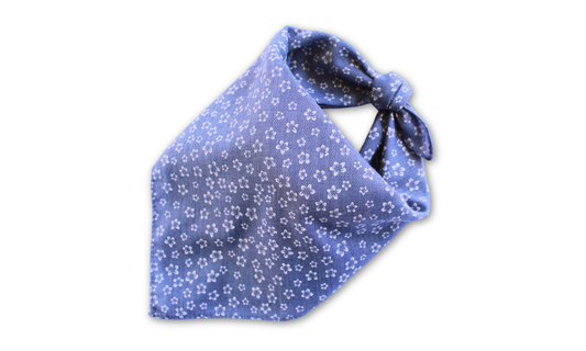Monroe (Blue)