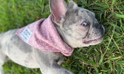 Monroe (Pink)