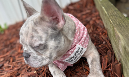 Monroe (Pink)