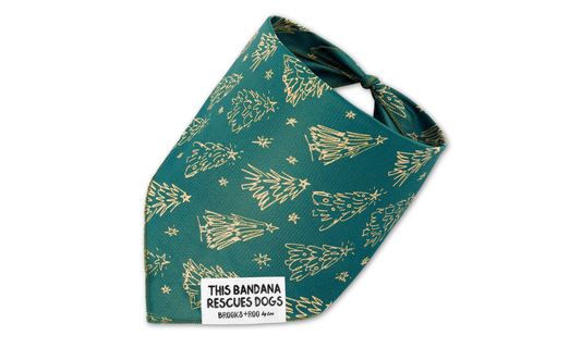 Evergreen Enchantment