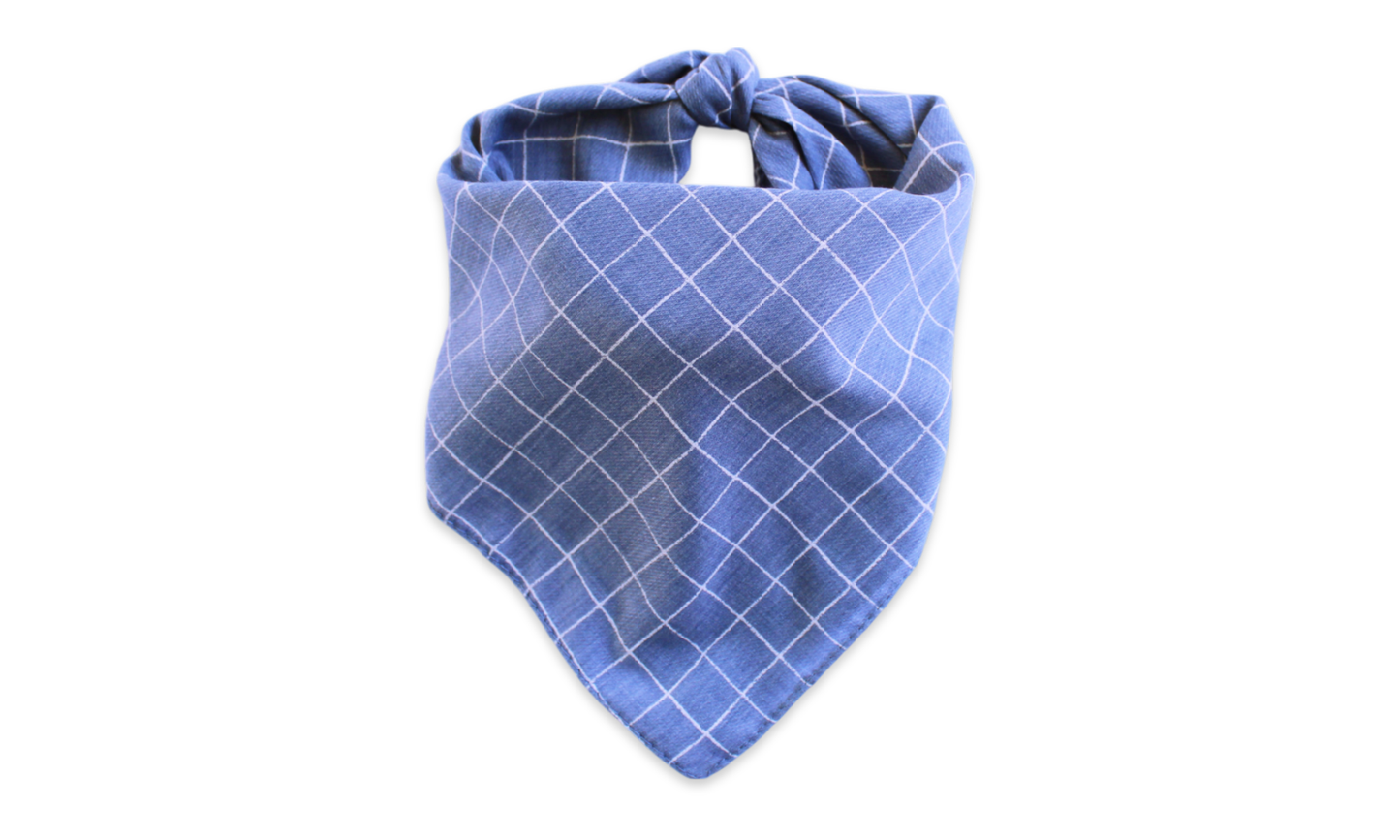 Waltz (Blue)