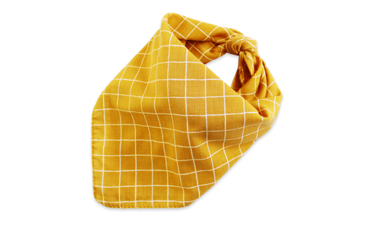 Waltz (Orange)