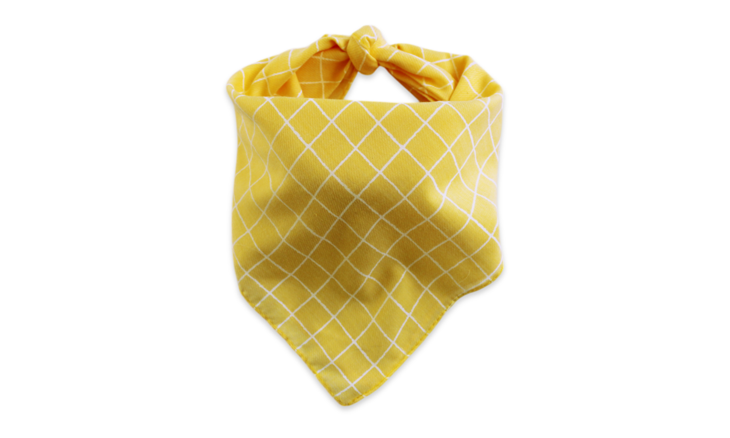 Waltz (Yellow)